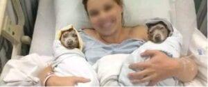 Suède : Une Femme Accouche Des Chiots Jumeaux