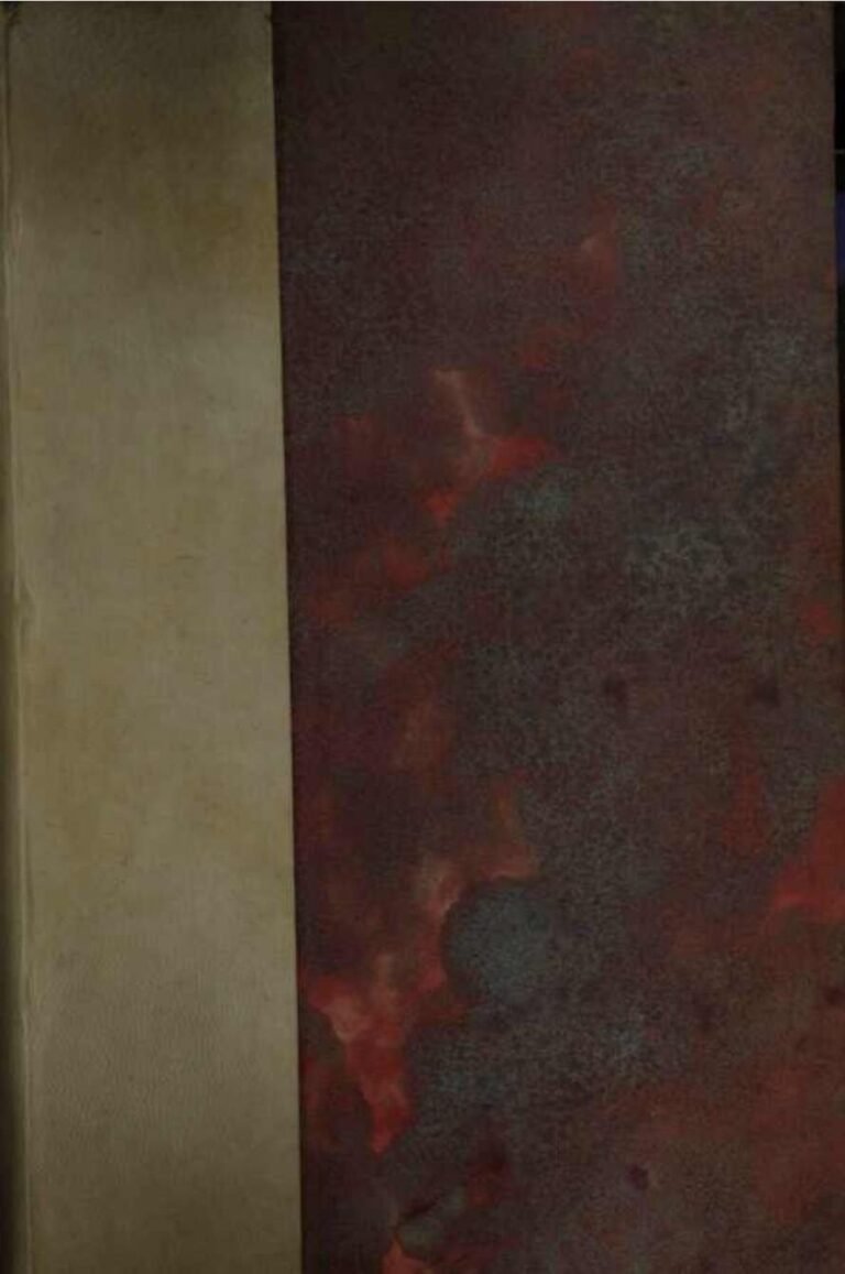 Plus De Vols Entre La France Et Brésil, La Raison