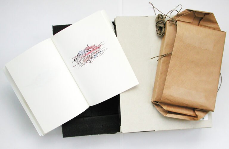 Que se passe t-il entre Emma Lohoues, Vegedream et Drogba