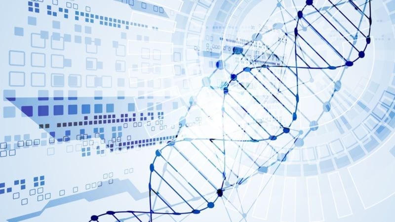 L’ADN, un nouveau moyen de stockage des données ?