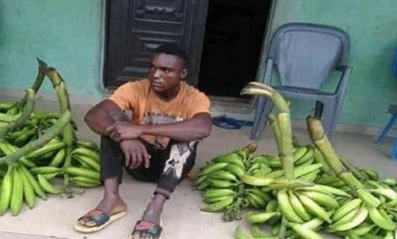 «J’ai Volé Ces Bananes Plantains Pour Acheter Le Maquillage De Ma Petite Amie»