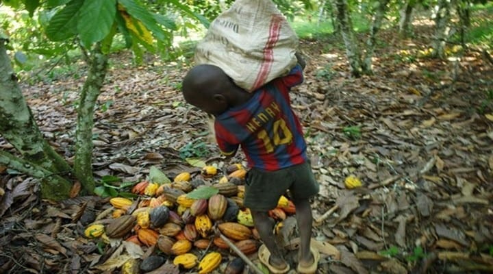 La police ivoirienne sauve 68 enfants utilisés dans les plantations de cacao
