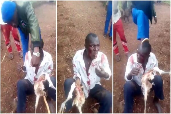 Un homme contraint de manger un poulet vivantil a volé  - Un homme contraint de manger un poulet vivant qu’il a volé (vidéo)