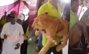 Un Homme Se Rend Aux Funérailles De Son Père Avec Un Lion- Vidéo