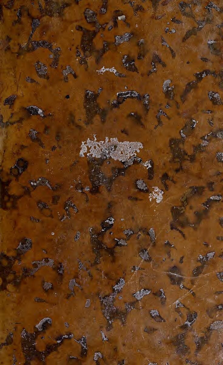 Coupe Caf : Les Chocs Cs Sfaxien / Js Kabylie Et Orlando Pirates / Raja Casablanca