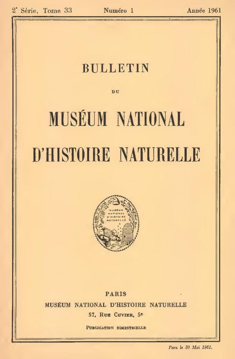 Pakistan : au moins 61 morts et une centaine de blessés dans une explosion à l&rsquo;intérieur d&rsquo;une mosquée