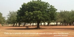 Journée Nationale De L&Rsquo;Arbre Au Togo