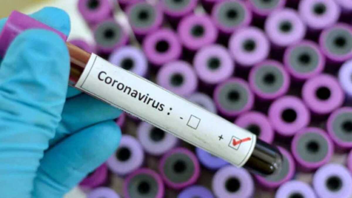 Covid-19 : l'OMS prédit la fin de la pandémie