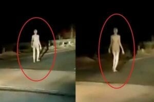 Inde : Une Créature Bizarre Semblable À Un Extraterrestre Aperçue Sur Un Pont En Pleine Nuit (Vidéo)