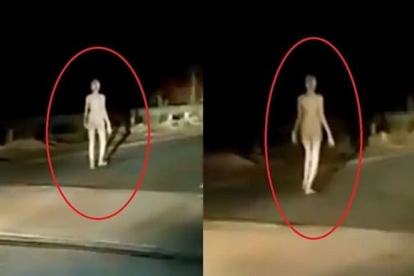 Inde une créature bizarre extraterrestre pont pleine nuit  - Inde : une créature bizarre semblable à un extraterrestre aperçue sur un pont en pleine nuit (vidéo)