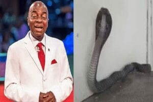 Nigeria : Le Pasteur David Oyedepo A Passé 7 Heures Avec Un Cobra Dans La Même Pièce