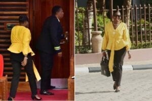 Tanzanie : Une Députée Expulsée Du Parlement Pour Avoir Porté Un Pantalon Serré (Vidéo)