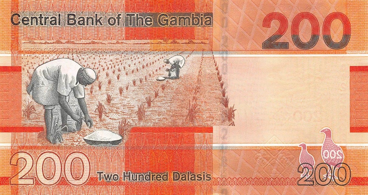Le Nigeria La Gambie A Imprimer Sa Monnaiev Doingbuzz
