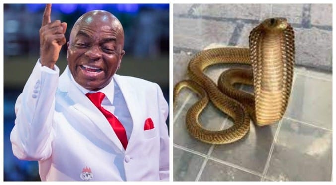 pasteur 7 heures temps cobra dans la meme chambre doingbuzz - Nigéria : un pasteur passe 7 heures de temps avec un cobra dans la même chambre