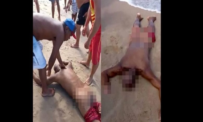 Brésil un homme ivre tué un requin faire pipi - Brésil: un homme ivre tué par un requin après avoir marché dans la mer pour faire pipi