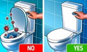 Santé: Voici Pourquoi Vous Devez Toujours Garder Le Couvercle Des Toilettes Fermé Avant De Tirer La Chasse D’eau