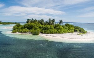 Chine : Une Adolescente Abandonnée Sur Une Île Déserte Par Ses Parents; Les Faits