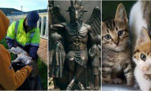 Afrique Du Sud: L’église De Satan Offre Une Forte Récompense Pour Arrêter Un Tueur En Série De Chats