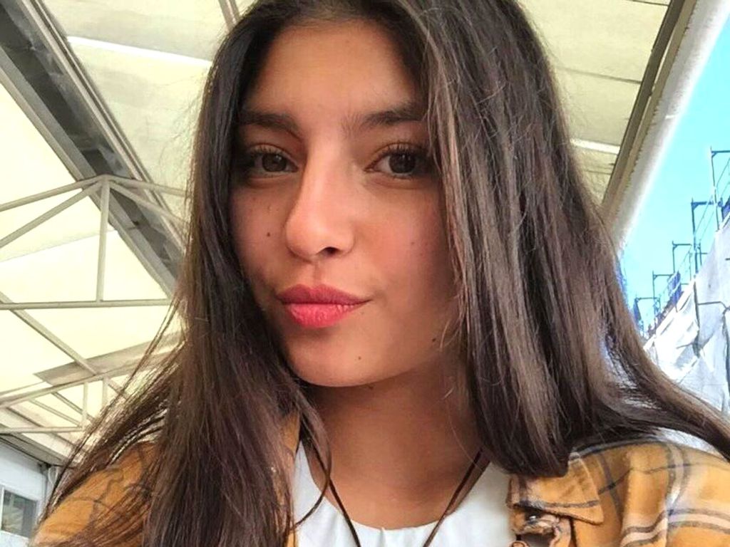 Chili Une Jeune Femme Tuee Par Un Tigre Les Faits