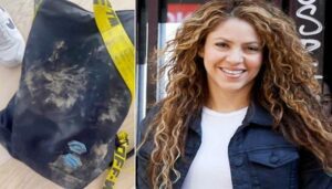 Shakira « Attaquée Et Volée » Par Deux Sangliers Dans Un Parc De Barcelone