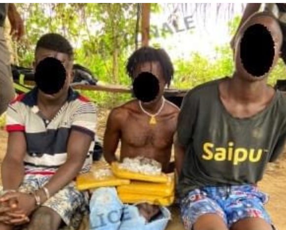 Côte D’ivoire/ Trois Malfrats Condamnés Pour Détention De Drogue À Tiassalé