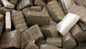 Bénin : Plus De 2500 Kg De Drogue, 11 Trafiquants Interpellés