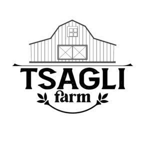 Togo/ Entrepreneuriat : Tsagli&Rsquo;S Farm Relance La Vente Des Escargots