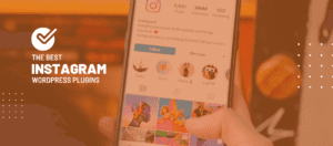 Voici Les Meilleurs Plugins Wordpress Instagram 2021