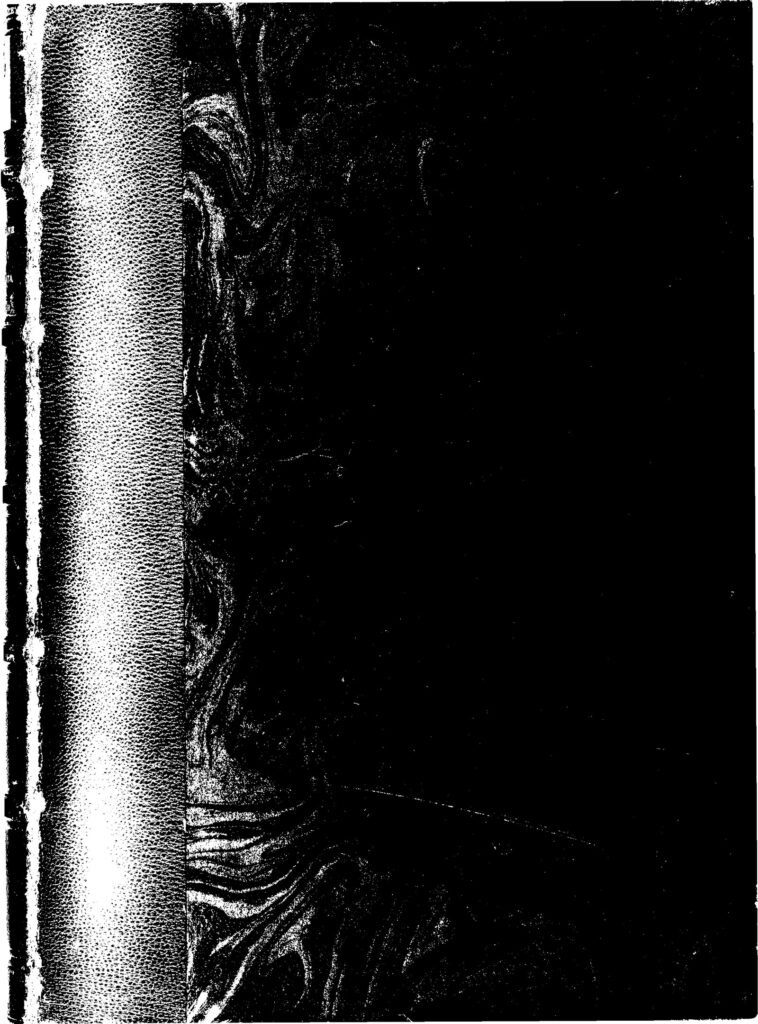 Deux policiers se battent dans la rue pour un pot-de-vin (vidéo)