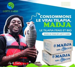 Consommation Locale : Lofty Farm Promeut Le Tilapia Élevé Au Togo 