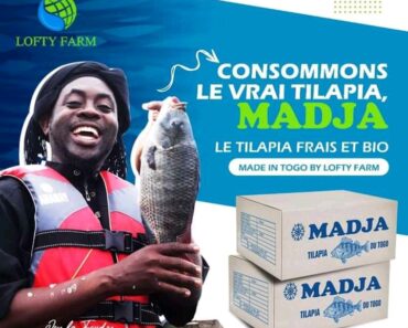 Consommation Locale : Lofty Farm Promeut Le Tilapia Élevé Au Togo 