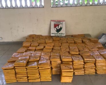 Côte D&Rsquo;Ivoire : 758,4 Kilogrammes De Cannabis Saisis