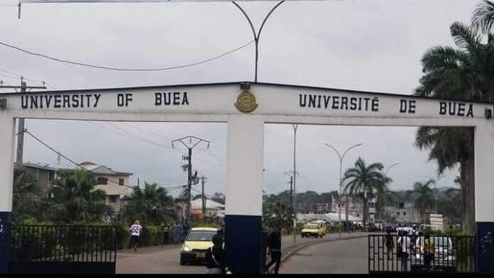 Cameroun 10 Etudiants Blesses Lexplosion Bombe Buea