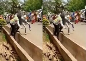 Ghana : Un Cheval Jette Son Propriétaire Dans Les Caniveaux