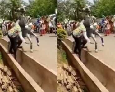 Ghana : un cheval jette son propriétaire dans les caniveaux