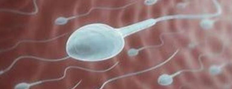 Santé : Voici 6 Choses Pour Réduire Votre Nombre De Spermatozoïdes