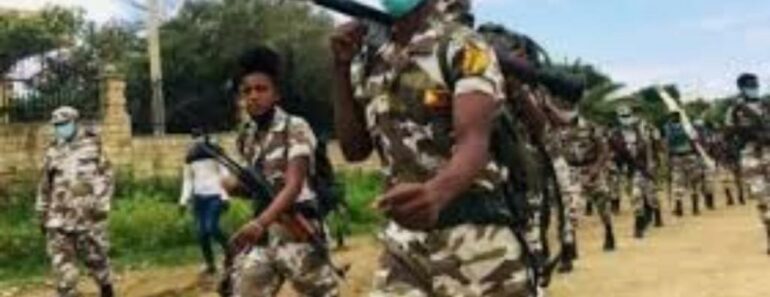 Togo : Attaque Terroriste À Kpendjal Dans Le Nord Du Pays