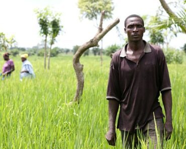 Togo : la Banque mondiale finance des projets agricoles