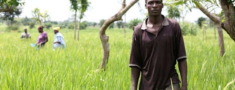 Togo : La Banque Mondiale Finance Des Projets Agricoles