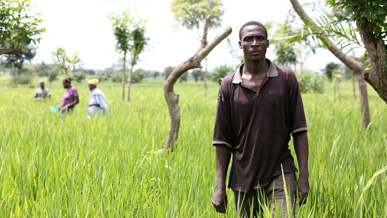 Togo La Banque Mondiale Projets Agricoles