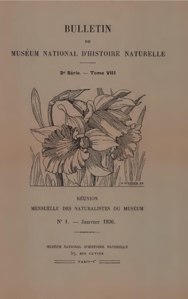Bourse Sophie Germain pour les Africains en France