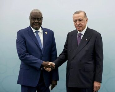 Le Sommet Turquie-Afrique Pour Renforcer Les Liens De Coopération