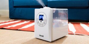 Les Humidificateurs Deviennent Bruts Rapidement. Voici Comment Les Nettoyer.