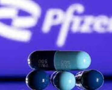 Pilules Anti-Covid : Pfizer Confirme Des Résultats Très Positifs