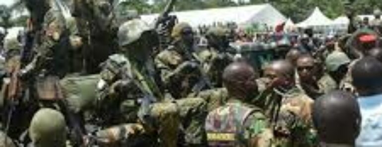 Le Mali Et La Guinée Dans Le Viseur De Forces Armées De La Cedeao