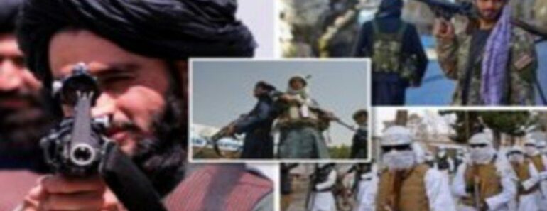 Les talibans le déploiement dun bataillon meurtrier kamikazes opérations spéciales 770x297 - Les talibans annoncent le déploiement d'un bataillon meurtrier de « kamikazes » pour des opérations spéciales