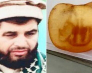 Un admirateur coupe un fruit « miracle » et trouve « Allah » écrit à l’intérieur – PHOTOS