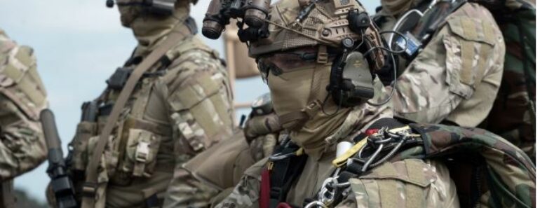 Mali : Une Centaine De Soldats Danois Vient En Renfort À La Force Takuba