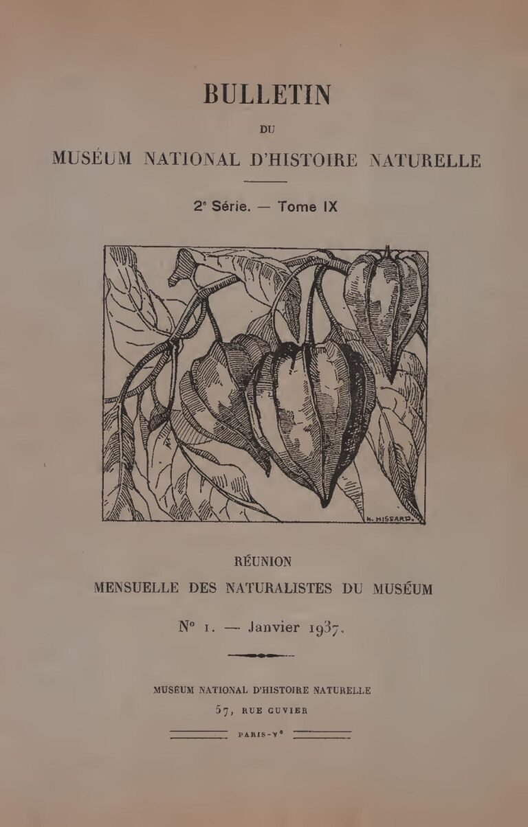 Abidjan : Des corps sans vie de jeunes filles découverts dans une résidence