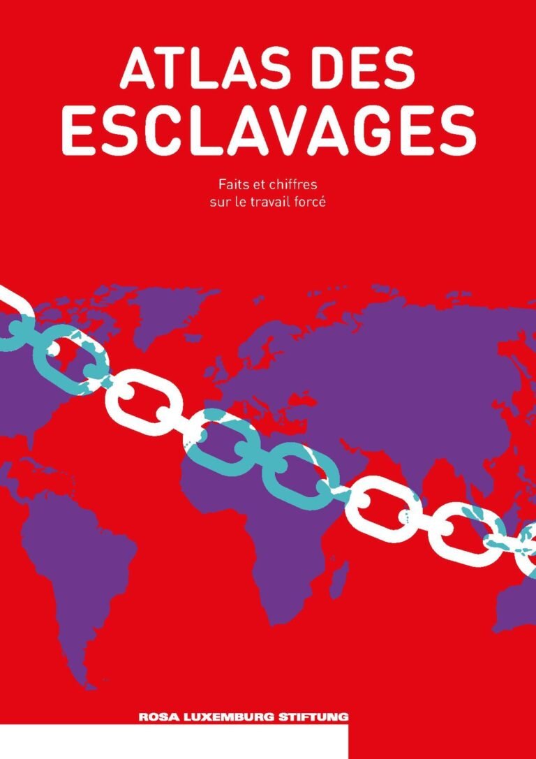 Enquête: Les Africains ne sont pas qualifiés pour les emplois auxquels ils postulent